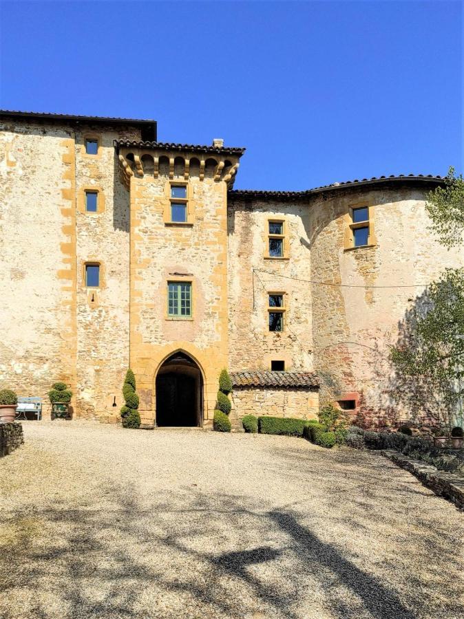 Appartement Oingt - Les Meubles Des Pierres Dorees Theize Exterior foto